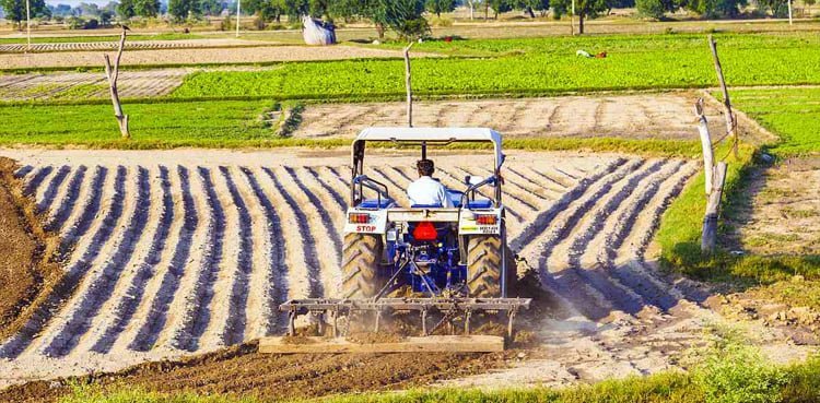 Govt to consider fixed farm income tax if target not achieved