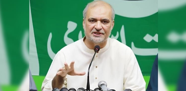 Govt hikes levy in tandem with fuel prices: Hafiz Naeem