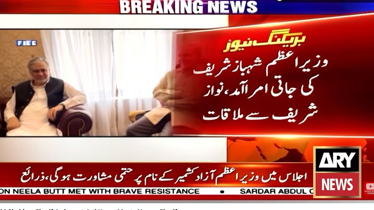 PM Shehbaz, Nawaz 'discuss' country's political situation