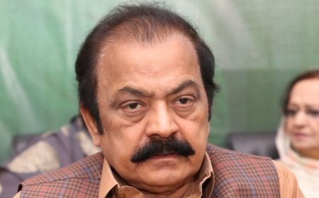 JI protest has become embarrassing, should announce its end: Rana Sanaullah