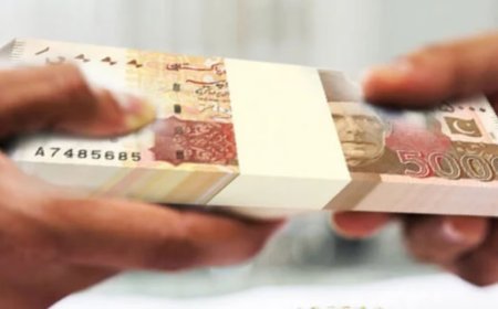 Pakistan borrowed Rs215 billion in July 2026 