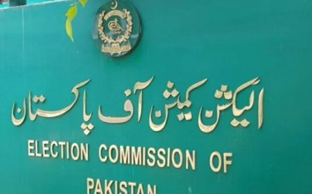 Punjab local govt elections: ECP to meet on August 20