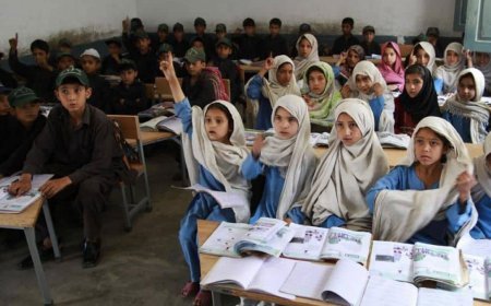 Punjab plans new curriculum for primary schools