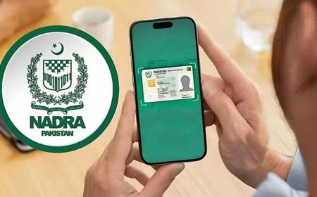 How to check the status of your NADRA application online