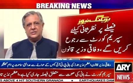 PTI founder should be examined at govt hospital, says Azam Nazeer Tarar