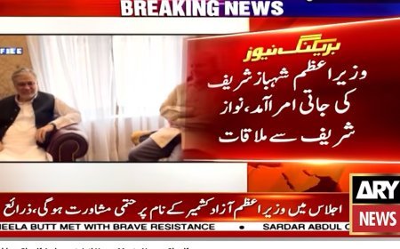PM Shehbaz, Nawaz 'discuss' country's political situation