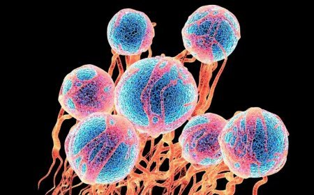 Punjab expands advanced cancer treatment with five new cryoablation machines