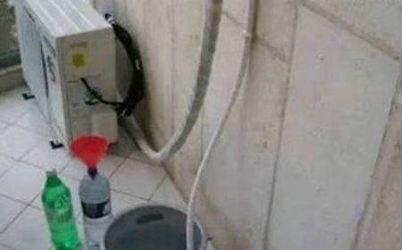LHC reinstates Lahore General Hospital security guard dismissed over AC pipe theft