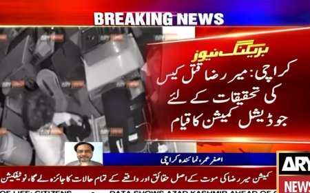 Mir Raza Ali Case: Sindh home ministry notifies ToRs for judicial commission