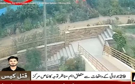 Mir Raza Ali case: CCTV footage shows police mobile near crime scene