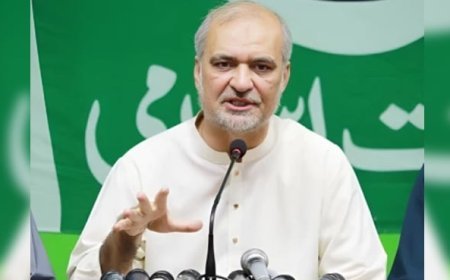 Govt hikes levy in tandem with fuel prices: Hafiz Naeem