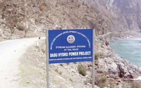 Senate committee seeks probe into Rs1.282bn irregularities in Dasu-Islamabad Transmission Line