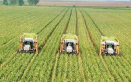Pakistan, KSA set to deepen agriculture and food trade cooperation
