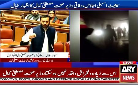 Mustafa Kamal offers himself for accountability over PIMS tragedy