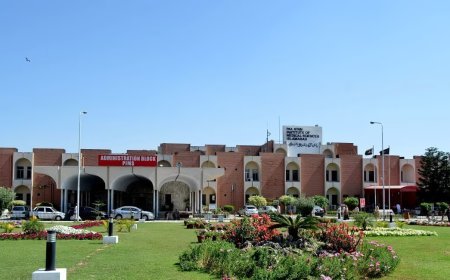 Hundreds of vacancies unfilled in Islamabad Hospitals