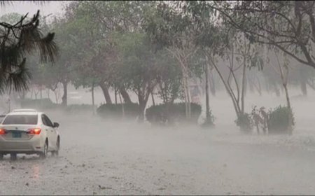 Heavy rains lash Rawalpindi, Islamabad as WASA declares rain emergency