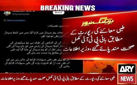 PTI founder declared medically fit after examination, says Tarar