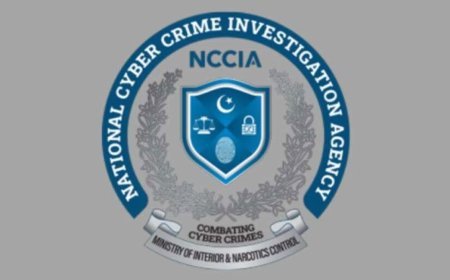 Job opportunities announced in National Cyber Crime Investigation Agency