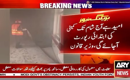 PIMS fire: Initial report expected by evening, Tarar says
