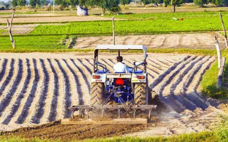 Govt to consider fixed farm income tax if target not achieved