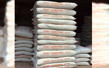 Cement export increases 9.58% in July 2026