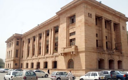 SHC constitutes judicial commission to probe Mir Raza Murder