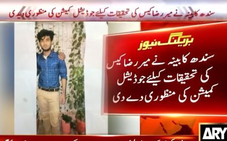Sindh cabinet approves judicial commission to probe Mir Raza murder case