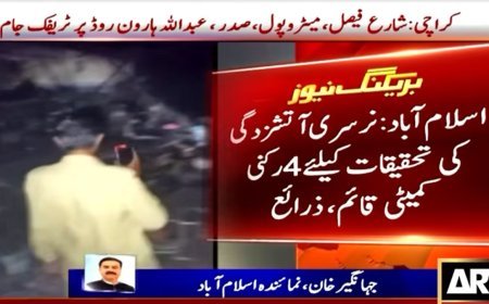 PIMS forms new inquiry committee to probe nursery fire