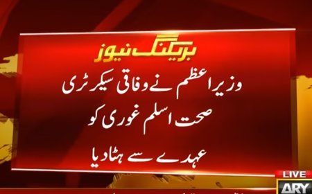 PM orders high-level inquiry into PIMS nursery fire, removes health scretary