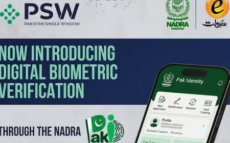 Overseas Pakistanis get a major facility in PSW registration process