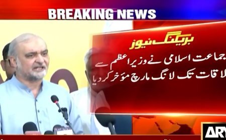 Hafiz Naeem-ur-Rehman holds off long march after PM's request, sit-Ins to continue