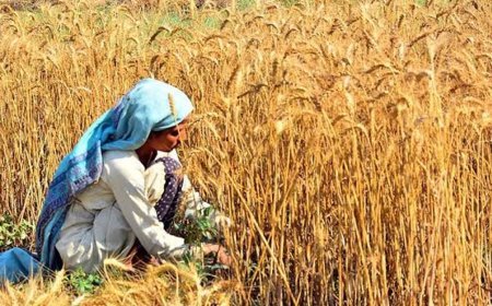 Farmers leader demands legitimate price of crops