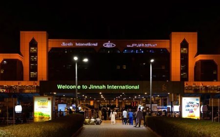 Karachi airport: 25 hotels, restaurants, marriage halls under scrutiny over bird strikes