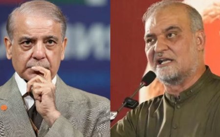 PM Shehbaz urges JI chief to postpone long march against petroleum levy