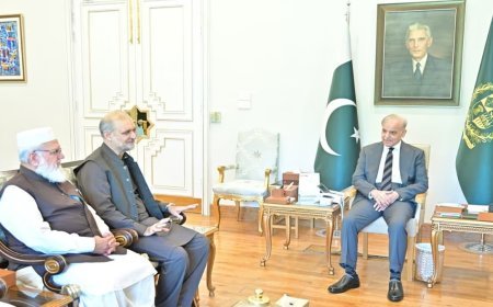 Petroleum levy abolition: Govt seeks more time from Jamaat-e-Islami amid PTI long march