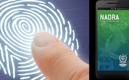 Step-by-step guide to applying for a replacement CNIC online