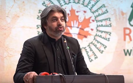 "Save country from destruction": PTI MNA Ali Muhammad Khan calls for immediate dialogue